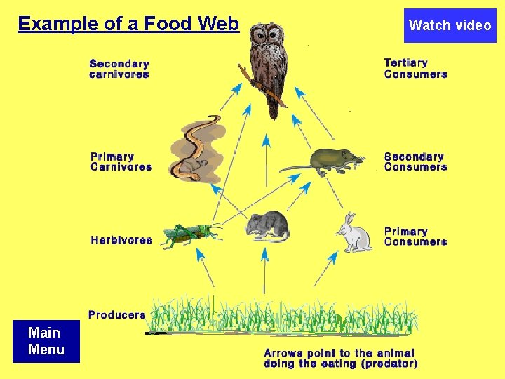 Example of a Food Web Main Menu Watch video 