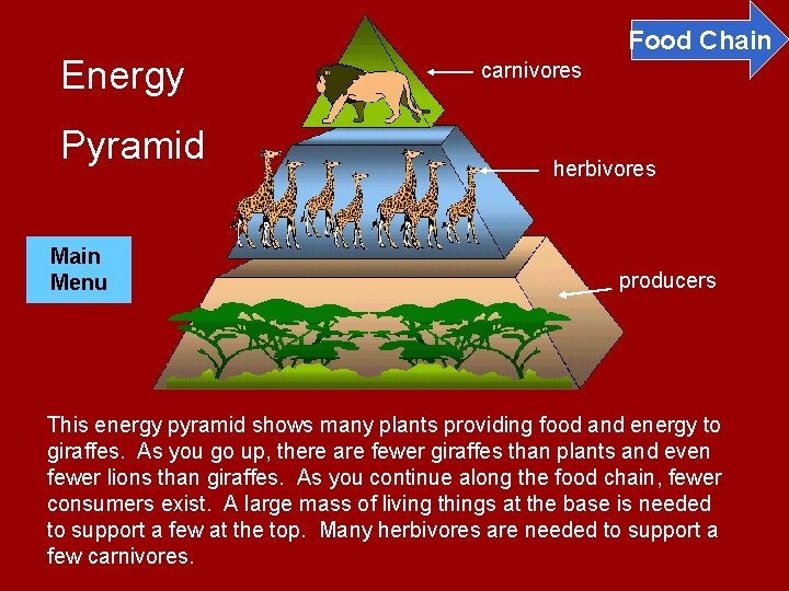 Energy Pyramid Main Menu Food Chain carnivores herbivores producers This energy pyramid shows many