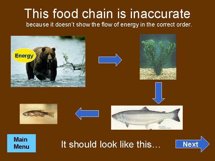 This food chain is inaccurate because it doesn’t show the flow of energy in