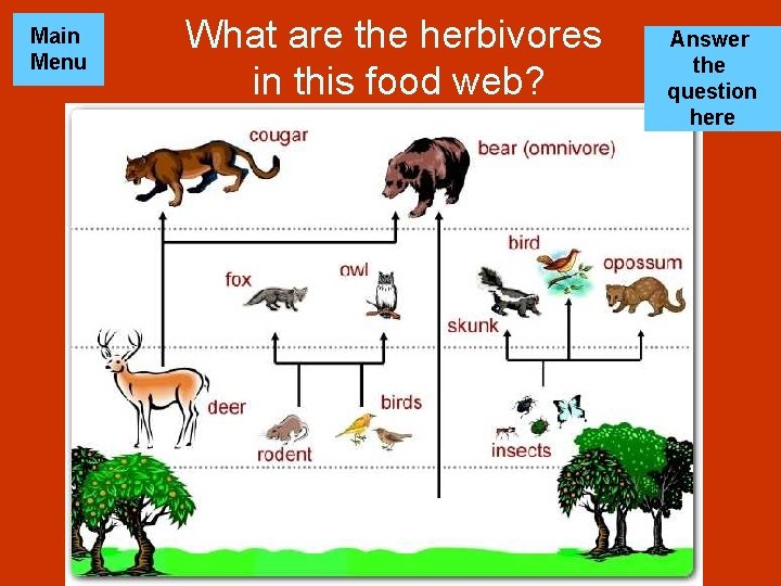 Main Menu What are the herbivores in this food web? Answer the question here