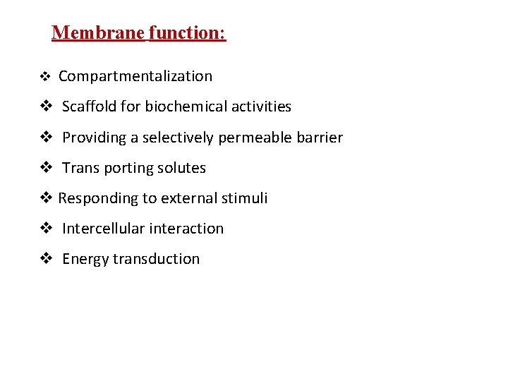 Membrane function: v Compartmentalization v Scaffold for biochemical activities v Providing a selectively permeable