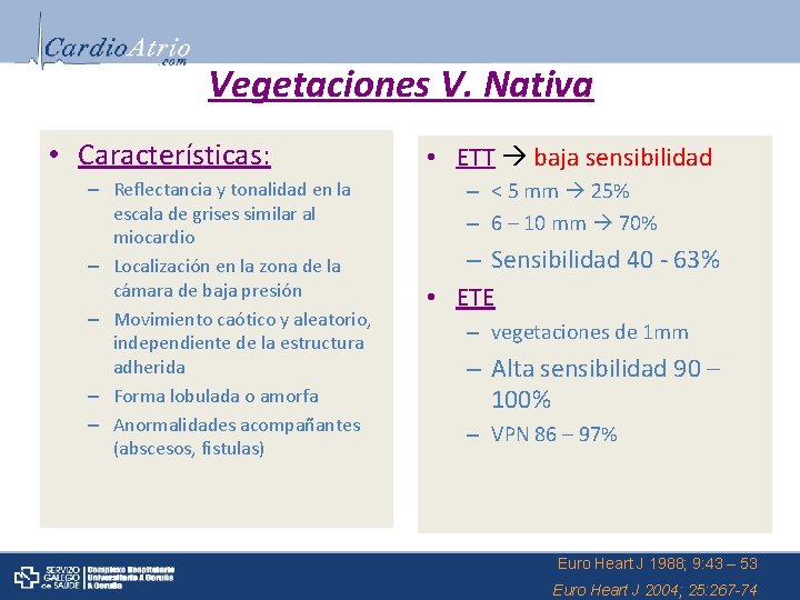 Vegetaciones V. Nativa • Características: – Reflectancia y tonalidad en la escala de grises
