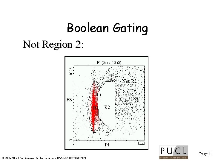 Boolean Gating Not Region 2: Page 11 © 1988 -2006 J. Paul Robinson, Purdue