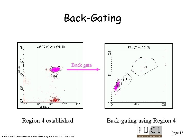 log PE Back-Gating Back gate Region 4 established Back-gating using Region 4 Page 16