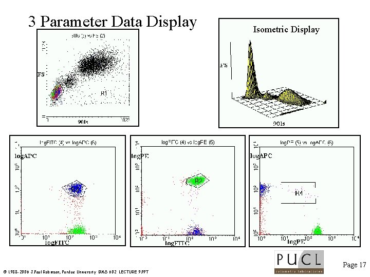 3 Parameter Data Display Isometric Display Page 17 © 1988 -2006 J. Paul Robinson,