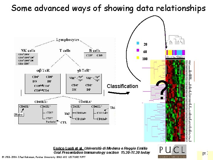 Some advanced ways of showing data relationships 20 60 100 Classification Enrico Lugli et