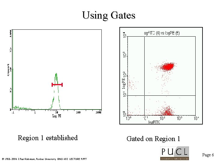 log PE Using Gates Region 1 established Gated on Region 1 Page 6 ©