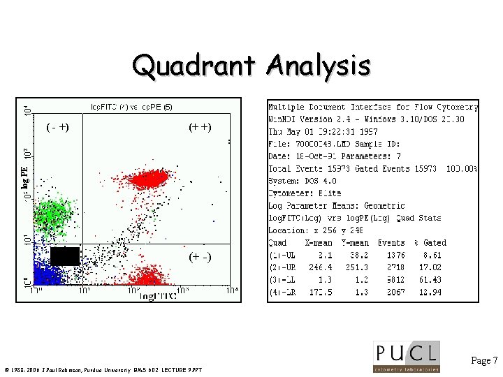 Quadrant Analysis (+ +) log PE ( - +) (- -) (+ -) Page