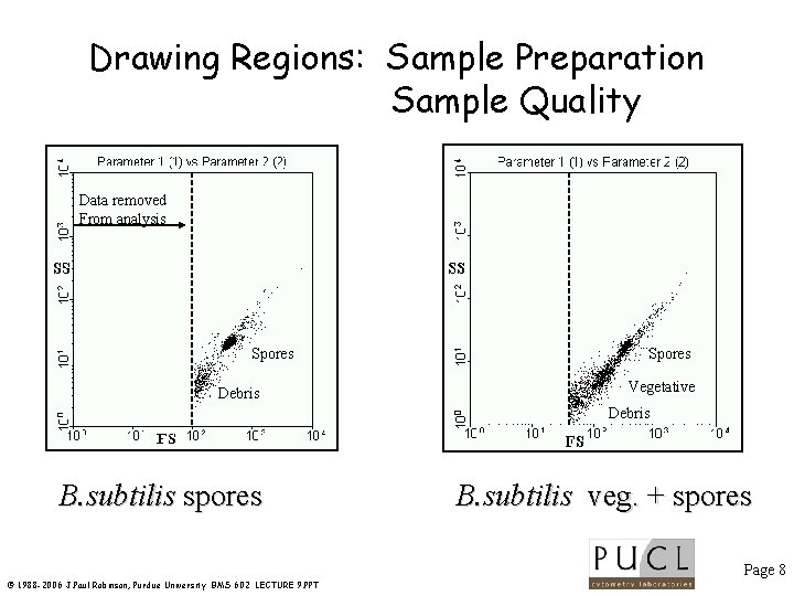 Drawing Regions: Sample Preparation Sample Quality Data removed From analysis Spores Debris Spores Vegetative