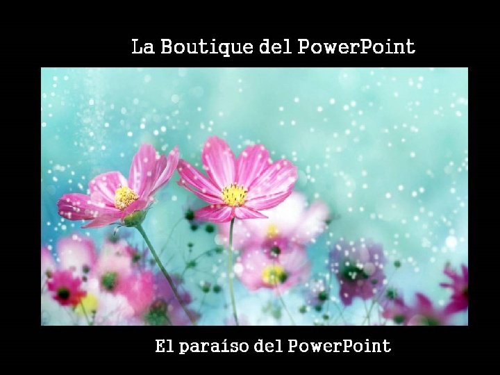 La Boutique Del Power. Point. net 