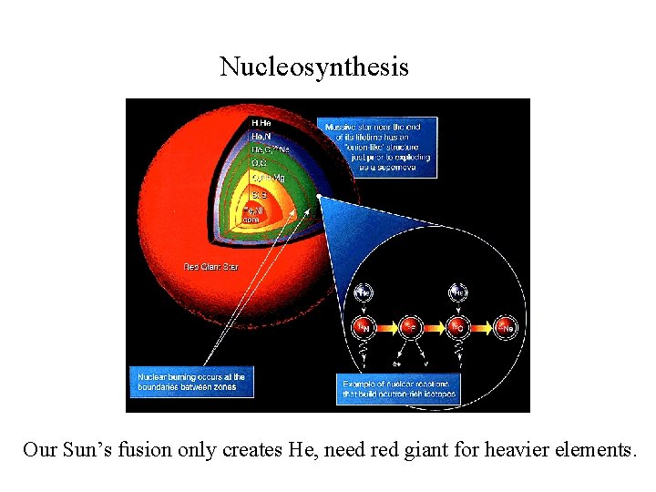 Nucleosynthesis Our Sun’s fusion only creates He, need red giant for heavier elements. 