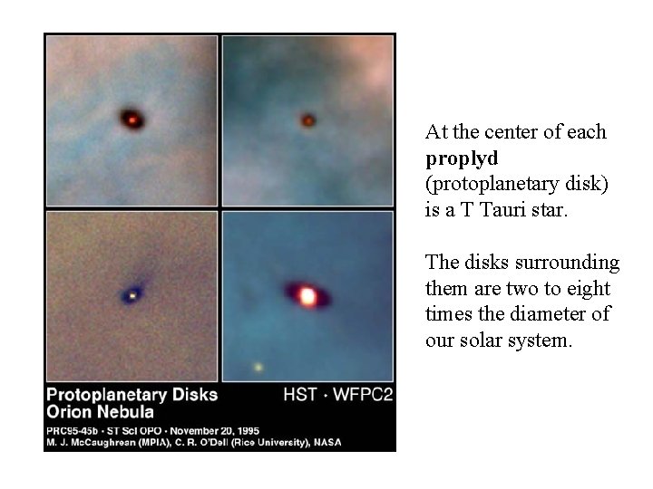 At the center of each proplyd (protoplanetary disk) is a T Tauri star. The