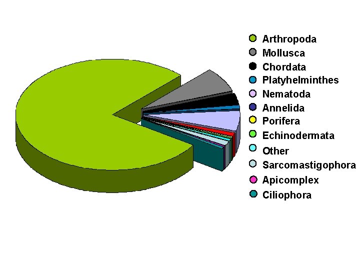 Arthropoda Mollusca Chordata Platyhelminthes Nematoda Annelida Porifera Echinodermata Other Sarcomastigophora Apicomplex Ciliophora 