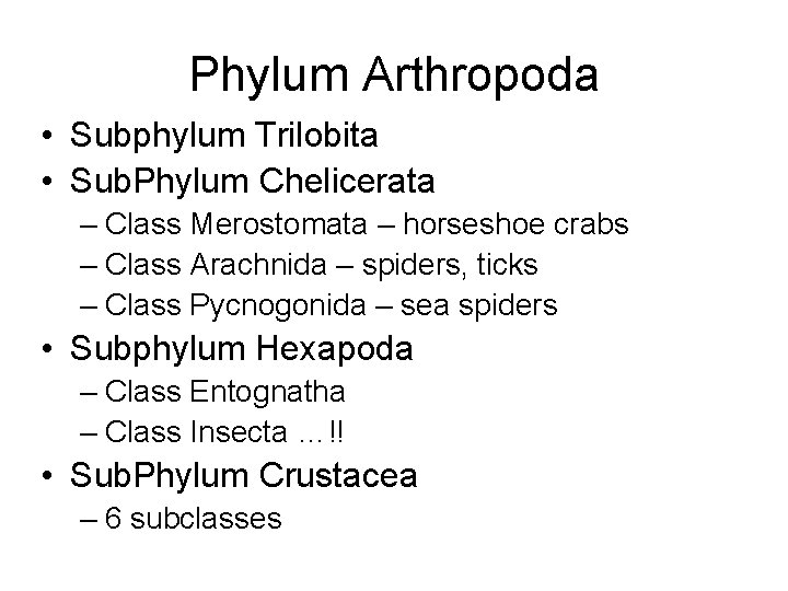 Phylum Arthropoda • Subphylum Trilobita • Sub. Phylum Chelicerata – Class Merostomata – horseshoe