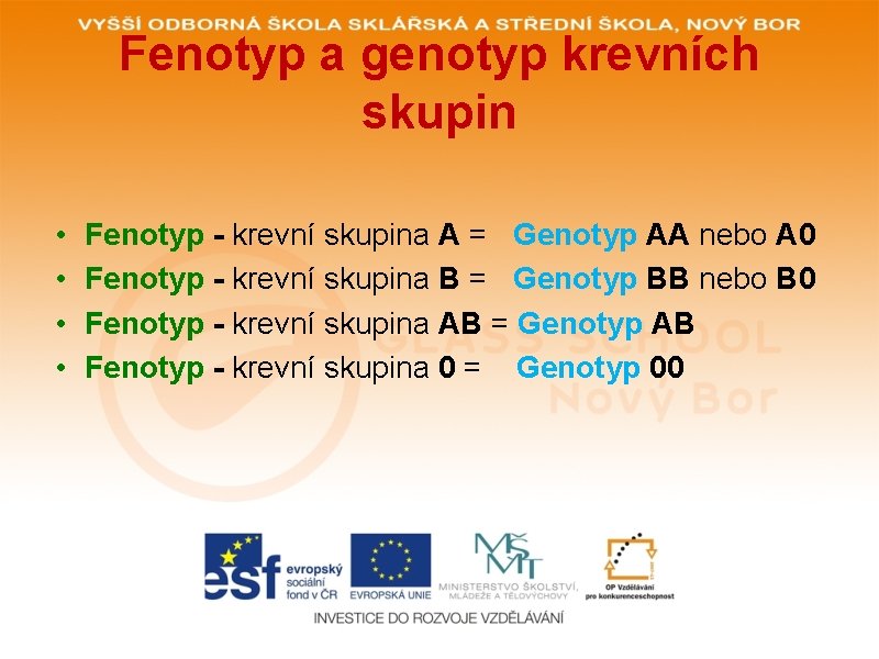 Fenotyp a genotyp krevních skupin • • Fenotyp - krevní skupina A = Genotyp