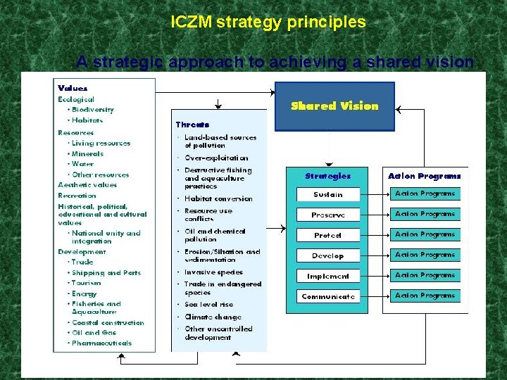 ICZM strategy principles A strategic approach to achieving a shared vision 
