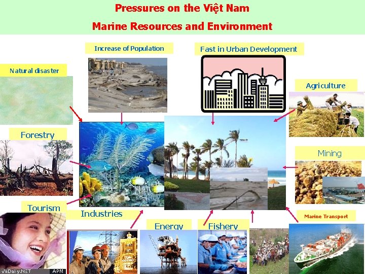 Pressures on the Việt Nam Marine Resources and Environment Increase of Population Fast in