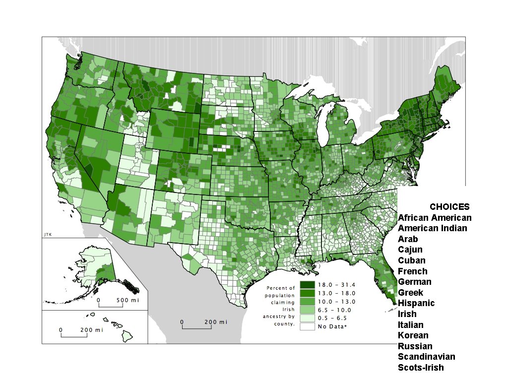 CHOICES African American Indian Arab Cajun Cuban French German Greek Hispanic Irish Italian Korean