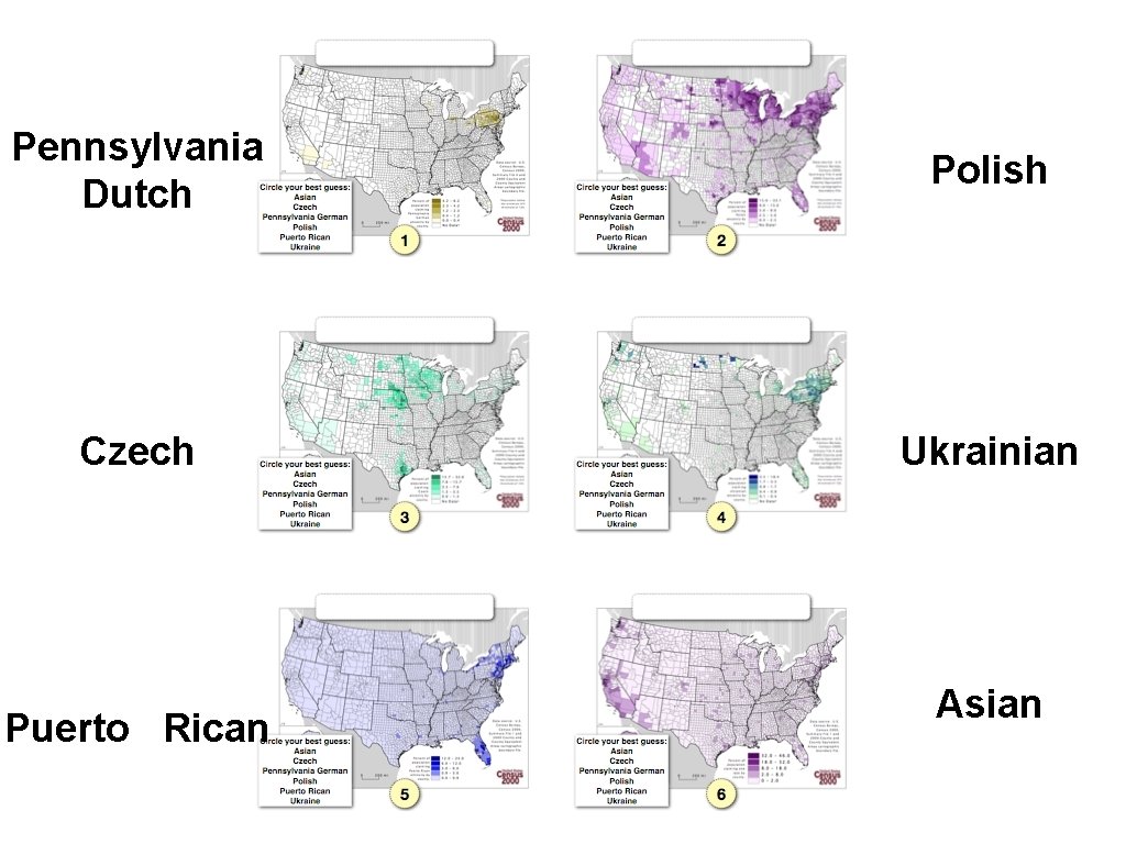 Pennsylvania Dutch Polish Czech Ukrainian Puerto Rican Asian 