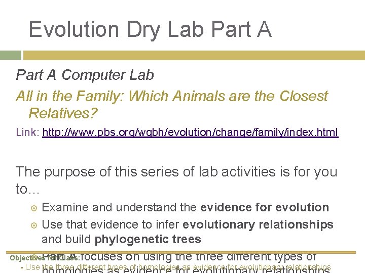 Evolution Dry Lab Part A Computer Lab All in the Family: Which Animals are