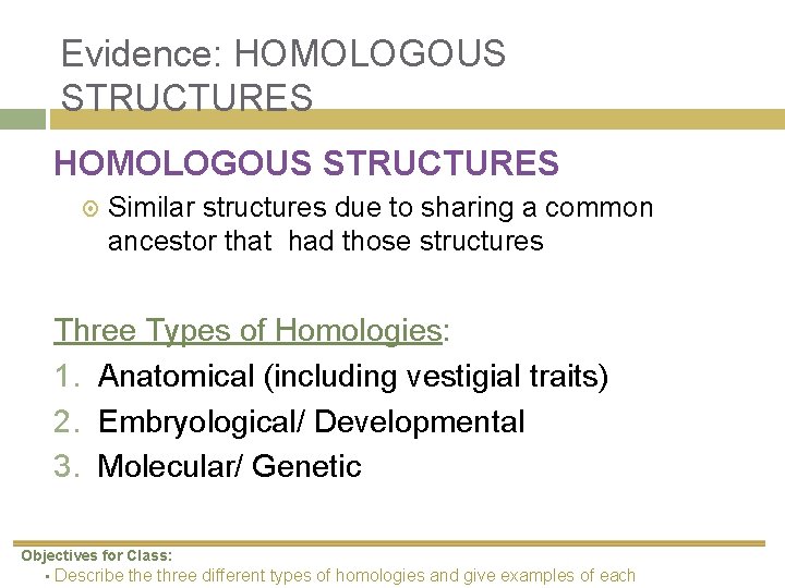 Evidence: HOMOLOGOUS STRUCTURES Similar structures due to sharing a common ancestor that had those