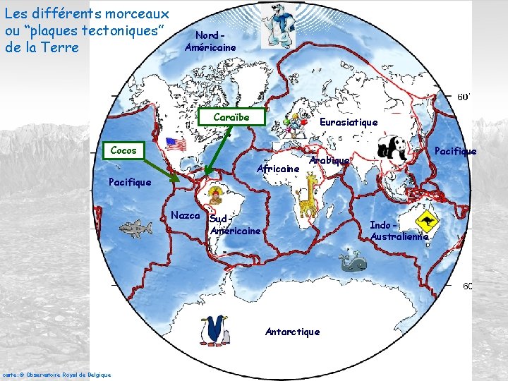 Les différents morceaux ou “plaques tectoniques” de la Terre Nord. Américaine Caraïbe Eurasiatique Cocos