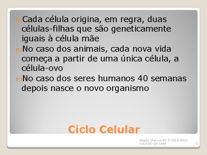  Cada célula origina, em regra, duas células-filhas que são geneticamente iguais à célula