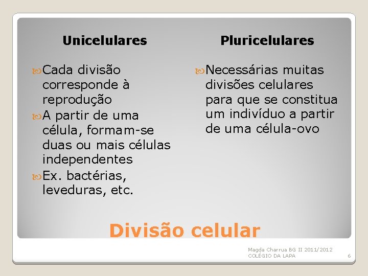 Unicelulares Cada divisão corresponde à reprodução A partir de uma célula, formam-se duas ou