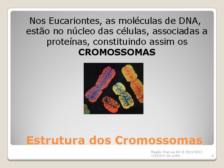 Nos Eucariontes, as moléculas de DNA, estão no núcleo das células, associadas a proteínas,