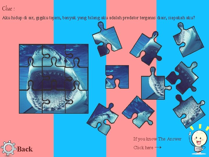 Clue : Aku hidup di air, gigiku tajam, banyak yang bilang aku adalah predator