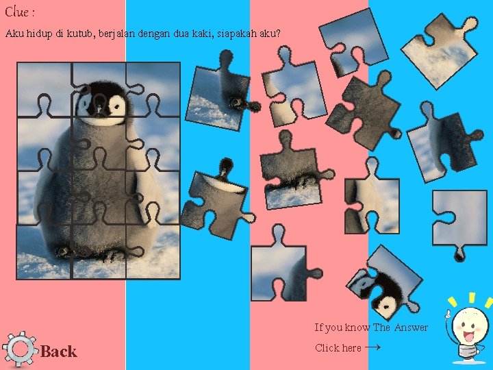 Clue : Aku hidup di kutub, berjalan dengan dua kaki, siapakah aku? Back If