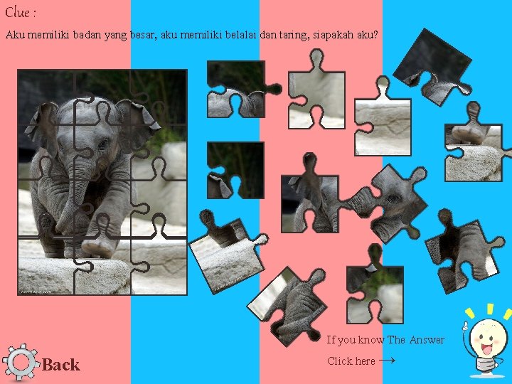 Clue : Aku memiliki badan yang besar, aku memiliki belalai dan taring, siapakah aku?
