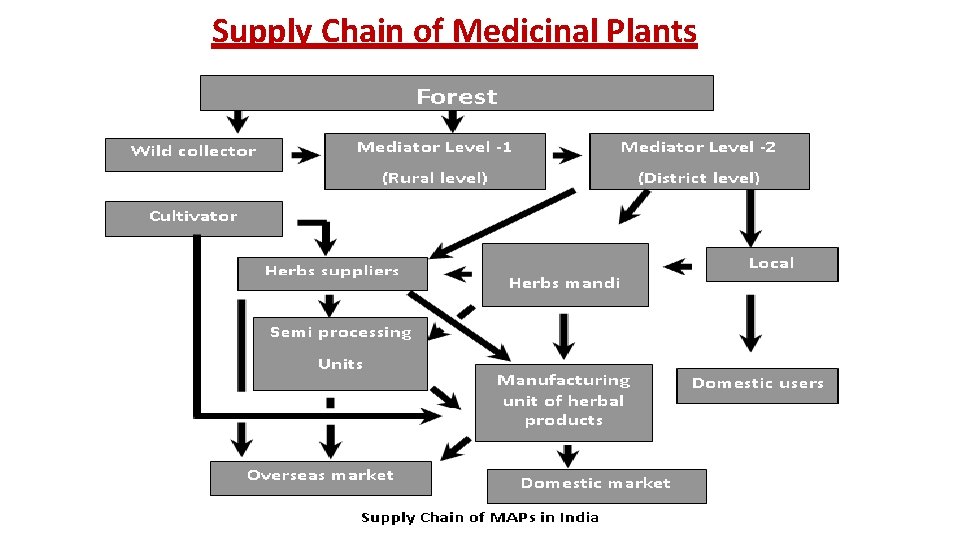 new-initiatives-in-medicinal-plants-sector-padmapriya-balakrisnan