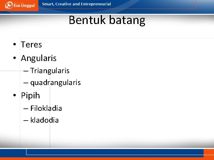 Bentuk batang • Teres • Angularis – Triangularis – quadrangularis • Pipih – Filokladia