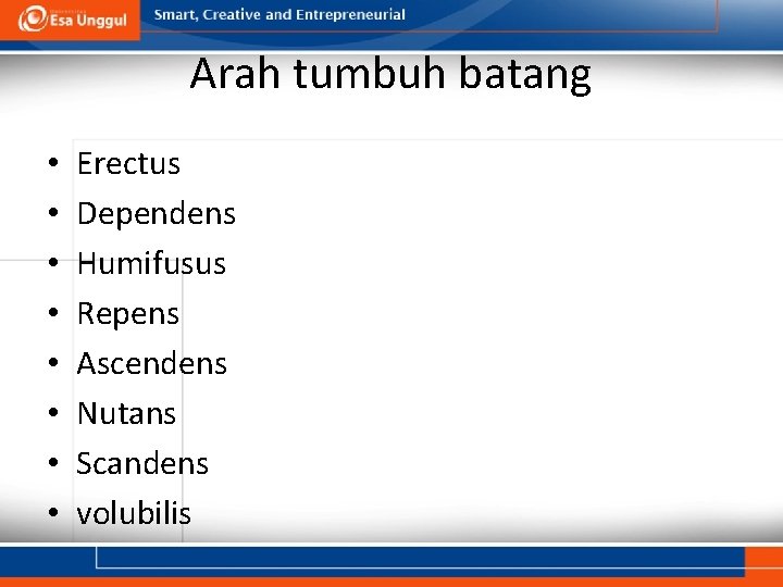 Arah tumbuh batang • • Erectus Dependens Humifusus Repens Ascendens Nutans Scandens volubilis 