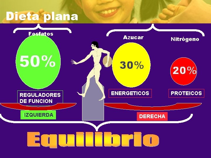 Dieta plana Fosfatos 50% REGULADORES DE FUNCION IIZQUIERDA Azucar 30% ENERGETICOS DERECHA Nitrógeno 20%