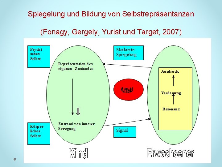 Spiegelung und Bildung von Selbstrepräsentanzen (Fonagy, Gergely, Yurist und Target, 2007) 