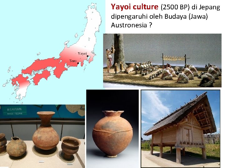 Yayoi culture (2500 BP) di Jepang dipengaruhi oleh Budaya (Jawa) Austronesia ? 