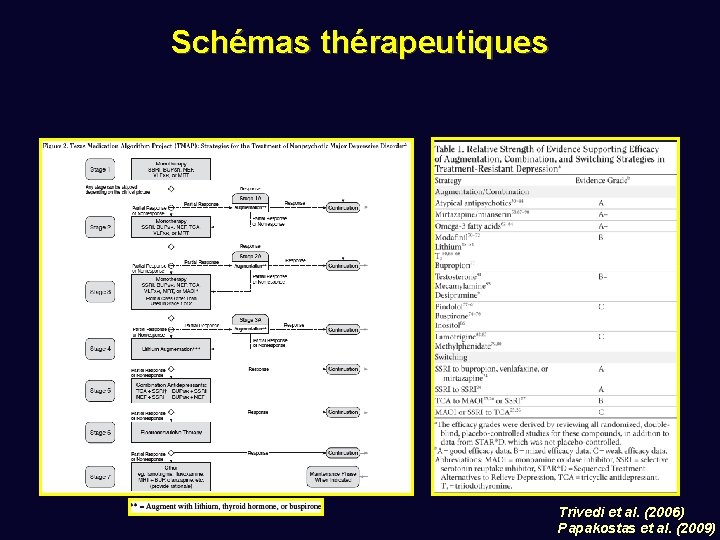 Schémas thérapeutiques Trivedi et al. (2006) Papakostas et al. (2009) 