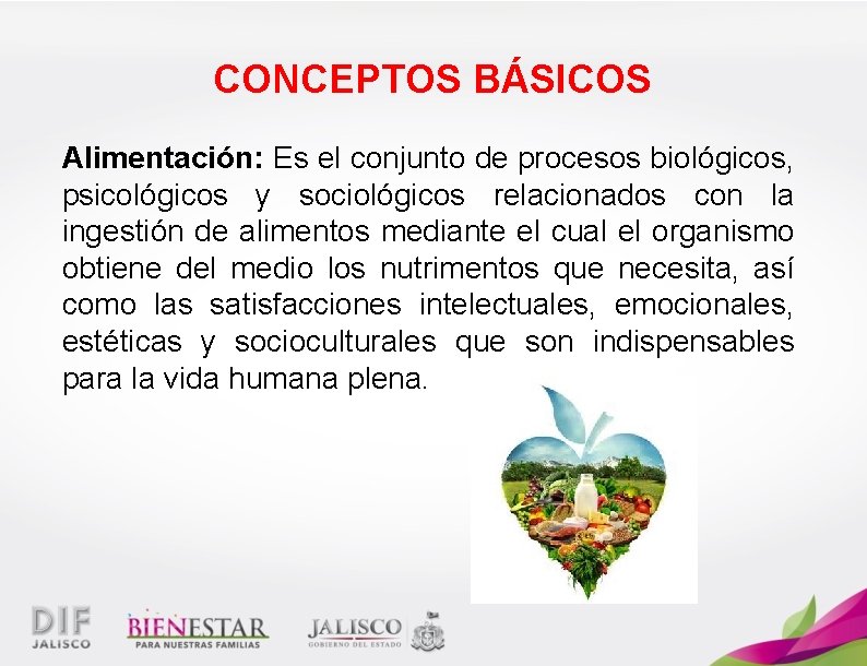 CONCEPTOS BÁSICOS Alimentación: Es el conjunto de procesos biológicos, psicológicos y sociológicos relacionados con