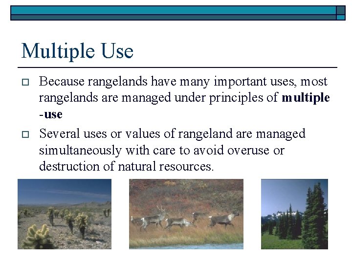 Multiple Use o o Because rangelands have many important uses, most rangelands are managed
