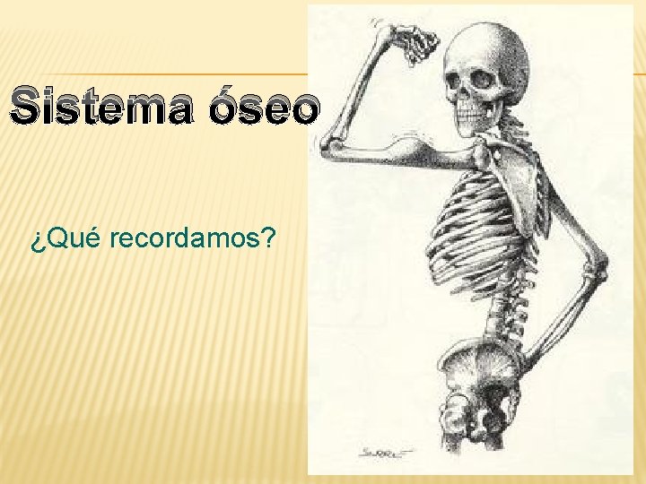 Sistema óseo ¿Qué recordamos? 