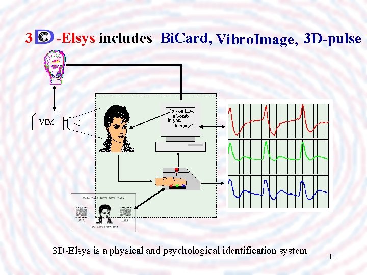 3 -Elsys includes Bi. Card, Vibro. Image, 3 D-pulse 3 D-Elsys is a physical