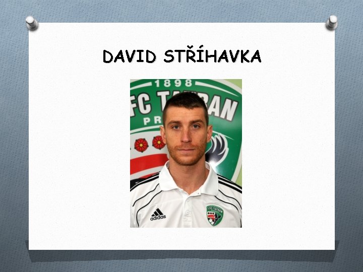 DAVID STŘÍHAVKA 