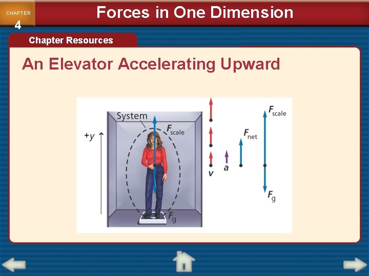 CHAPTER 4 Forces in One Dimension Chapter Resources An Elevator Accelerating Upward CHAPTER 4 Forces in One Dimension Chapter Resources An Elevator Accelerating Upward