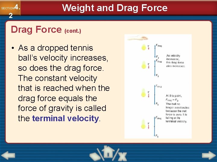4. SECTION 2 Weight and Drag Force (cont. ) • As a dropped tennis