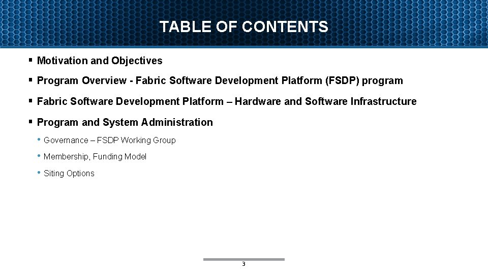 TABLE OF CONTENTS § Motivation and Objectives § Program Overview - Fabric Software Development