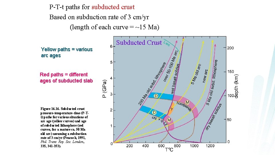 P-T-t paths for subducted crust Based on subduction rate of 3 cm/yr (length of