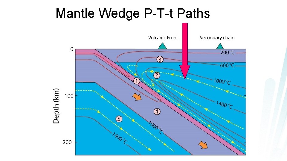 Mantle Wedge P-T-t Paths 