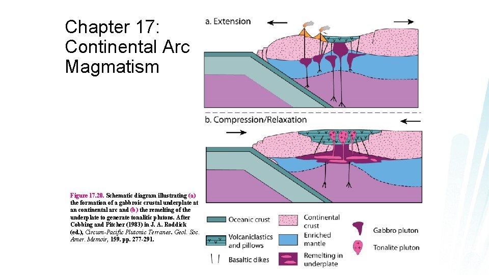 Chapter 17: Continental Arc Magmatism Figure 17. 20. Schematic diagram illustrating (a) the formation